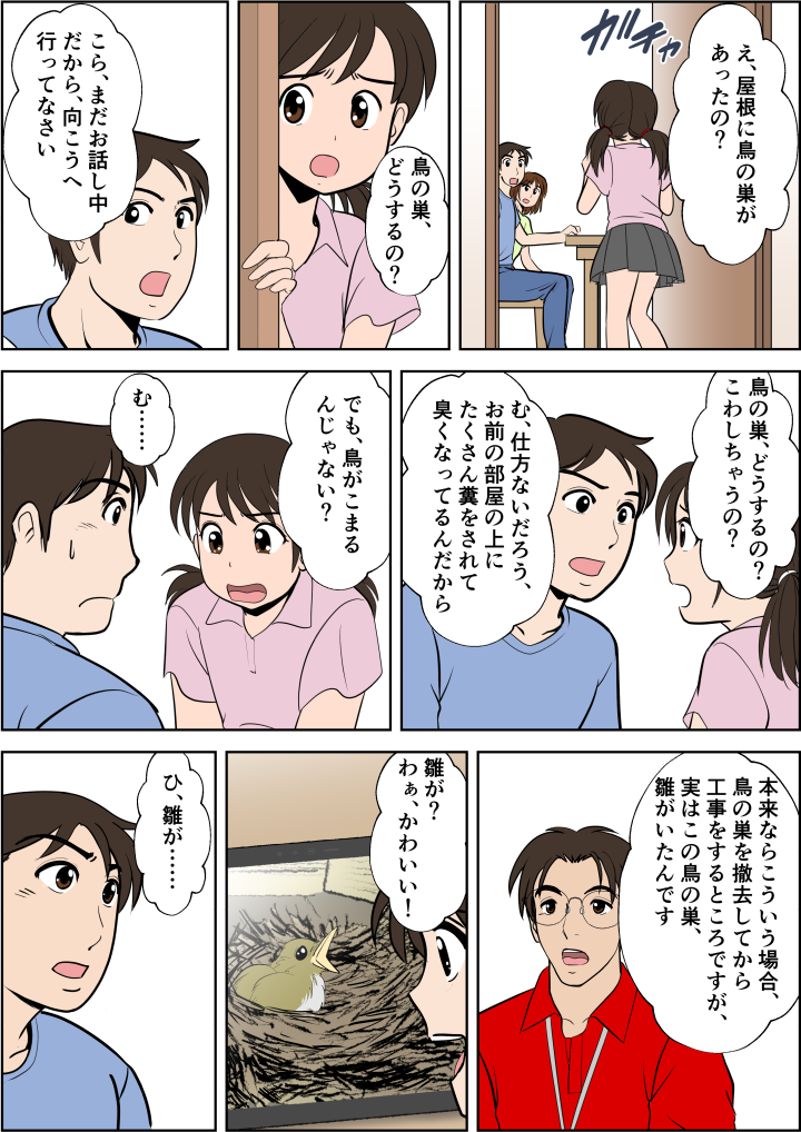 娘が鳥の巣の心配をする。その鳥の巣には雛がいた。