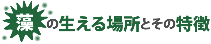 藻の生える場所とその特徴