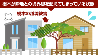 越境とは樹木が隣地との境界線を越えてしまっている状態