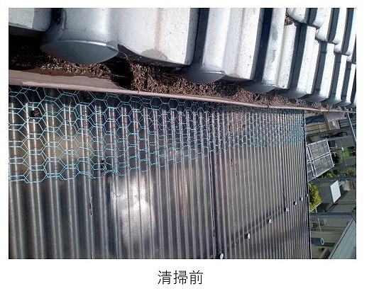 清掃前の軒先付近に堆積した巣材・ふんの状況