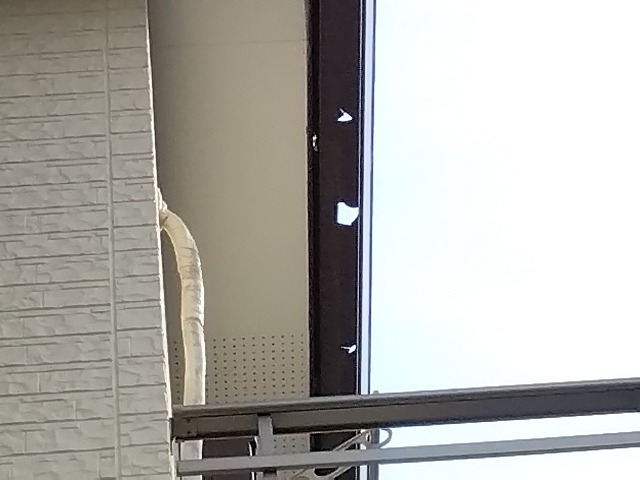 高砂市で雹被害による角樋の穴あきを確認し雨樋交換をご提案した現地調査