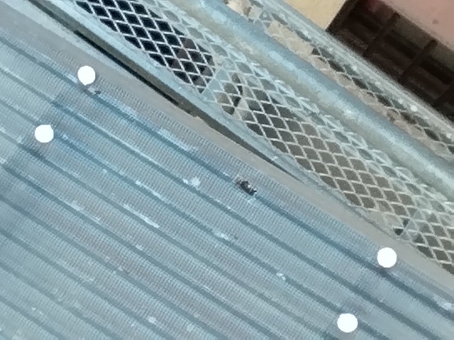 加古川市　波板ポリカ破損