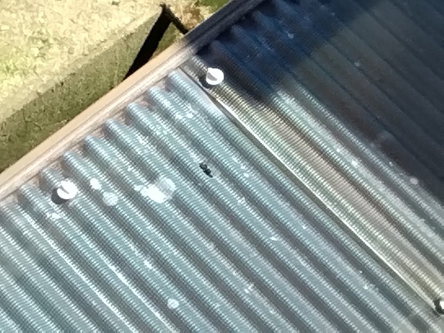 加古川市　波板ポリカ貫通