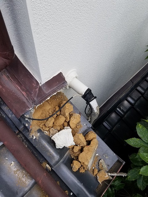 既存の土・充填材の撤去と清掃