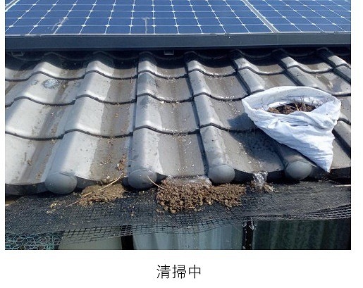 加古川市　堆積物を回収しながら屋根面を整える作業