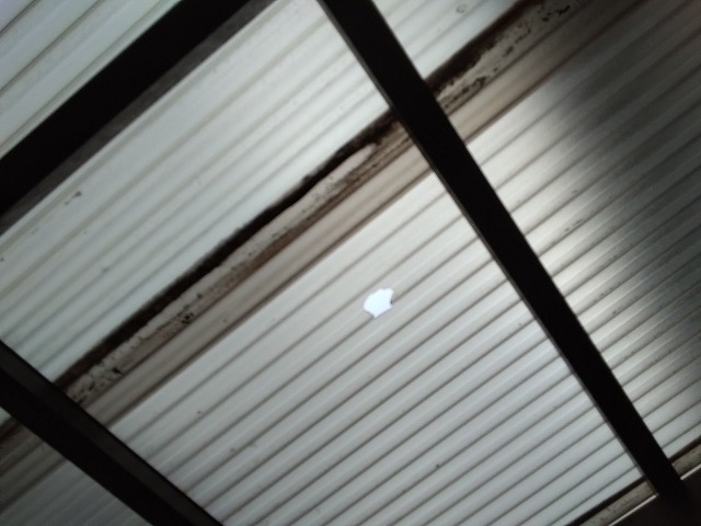 加古川市　波板ポリカ　飛散物