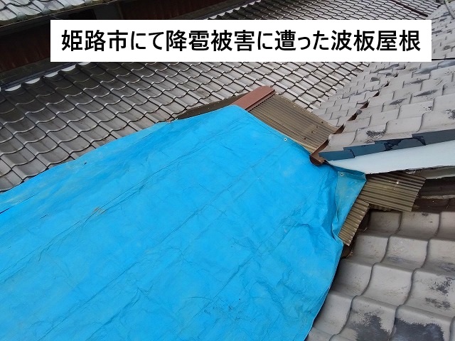 姫路市 降雹被害に遭いブルーシート養生されている波板屋根