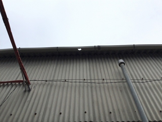 加古郡播磨町　工場雨樋に穴あき