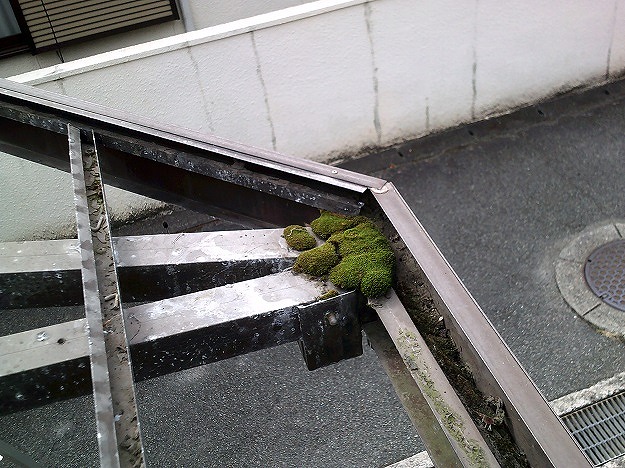 フレーム隅の苔と汚れ