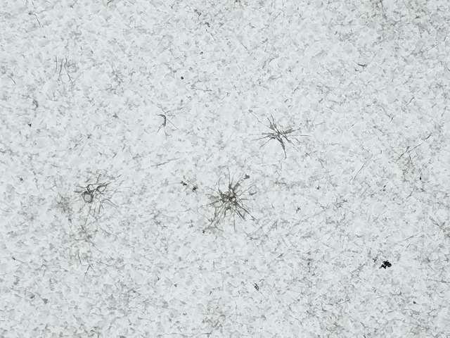 ポリカの星状ひび