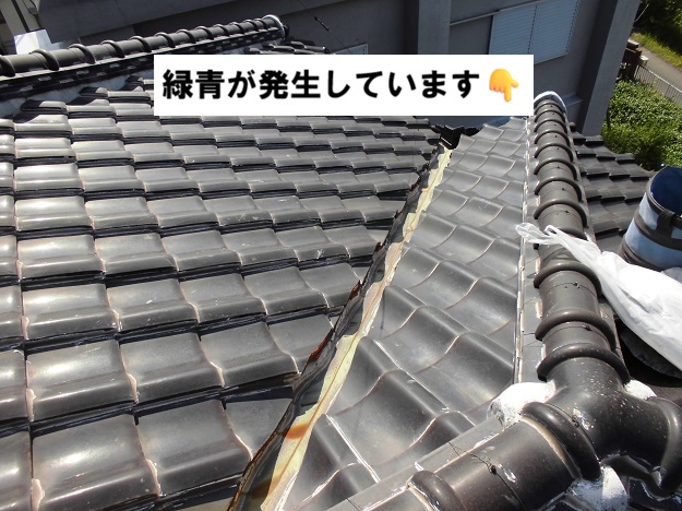姫路市　傷んだ銅製谷板金　緑青発生