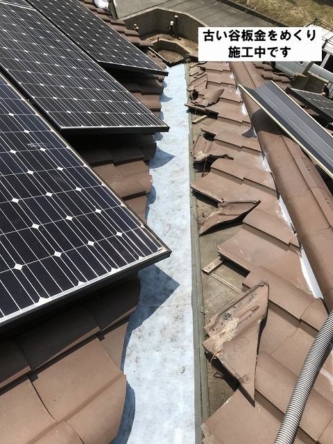 姫路市　谷板金交換工事　下地確認