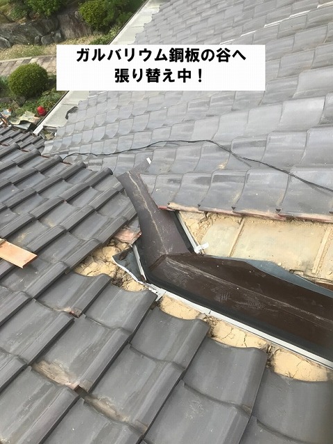 姫路市　谷板金交換工事　ガルバリウム　張り替え中