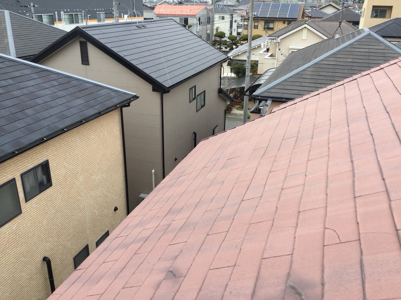 調査写真② 屋根全体の状態