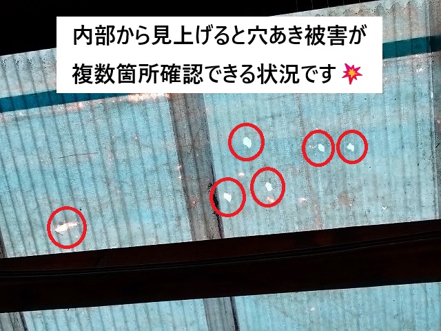 姫路市 降雹に遭い穴あき被害が発生した波板屋根の様子