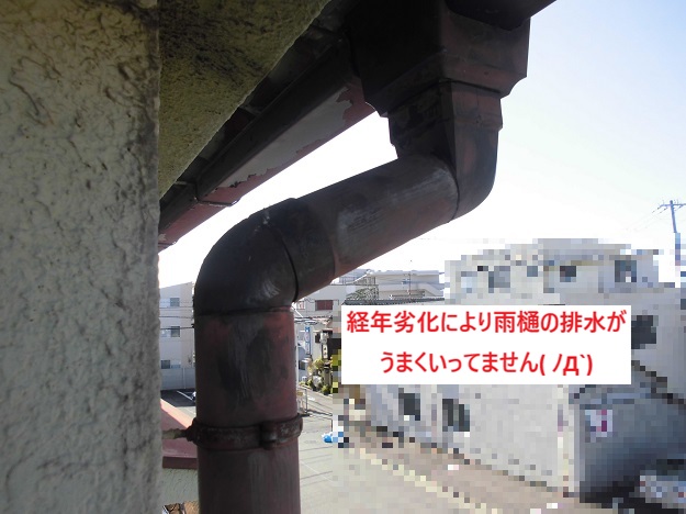 姫路市　雨樋　経年劣化　