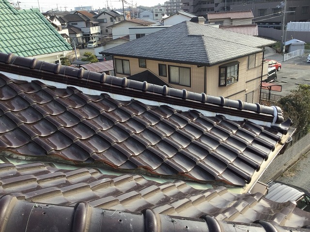 谷周辺の瓦の状態確認