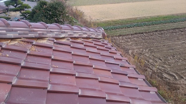 棟瓦と周辺瓦の清掃