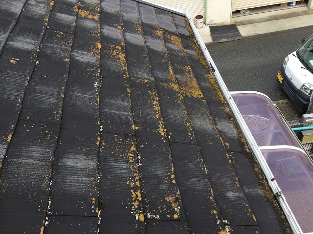 軒先部分に広がる重度の苔