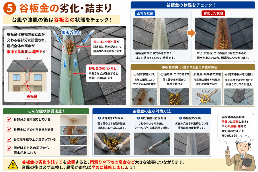加古川市　台風　谷板金