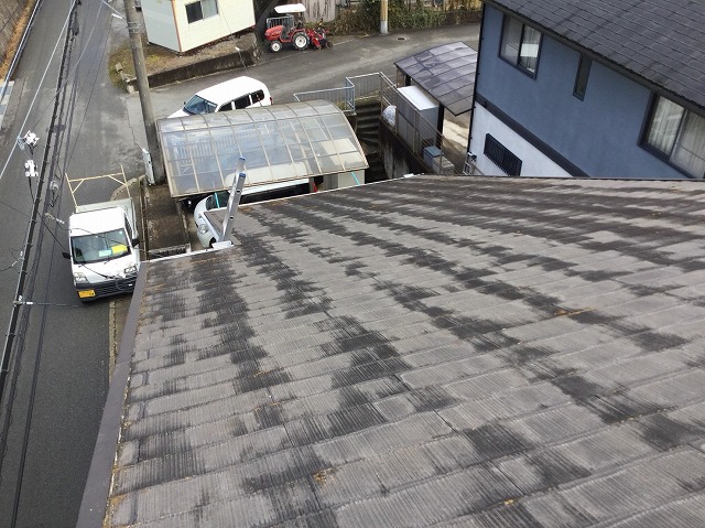 広範囲にわたる退色