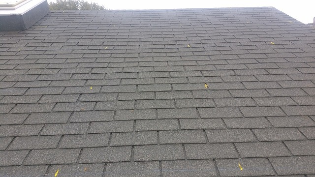 広範囲にわたるシングル材の状態確認