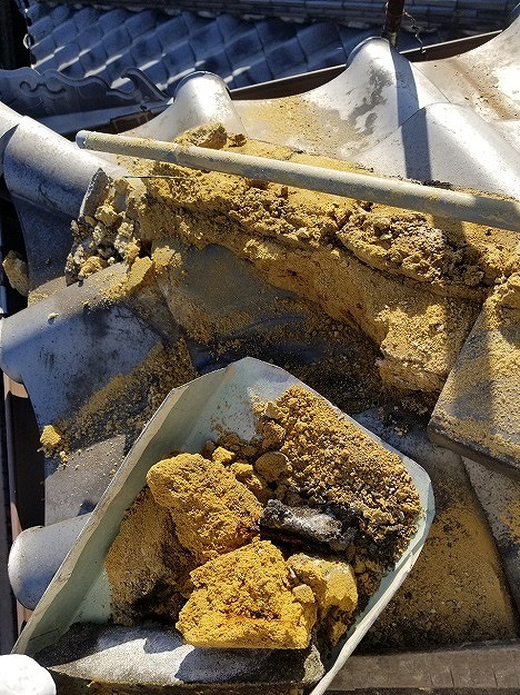 露出した葺き土の撤去と清掃