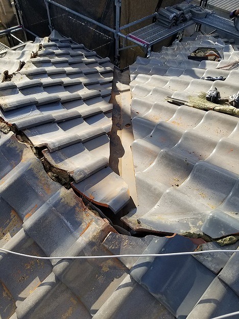 谷周辺の瓦をめくり、作業スペースを確保