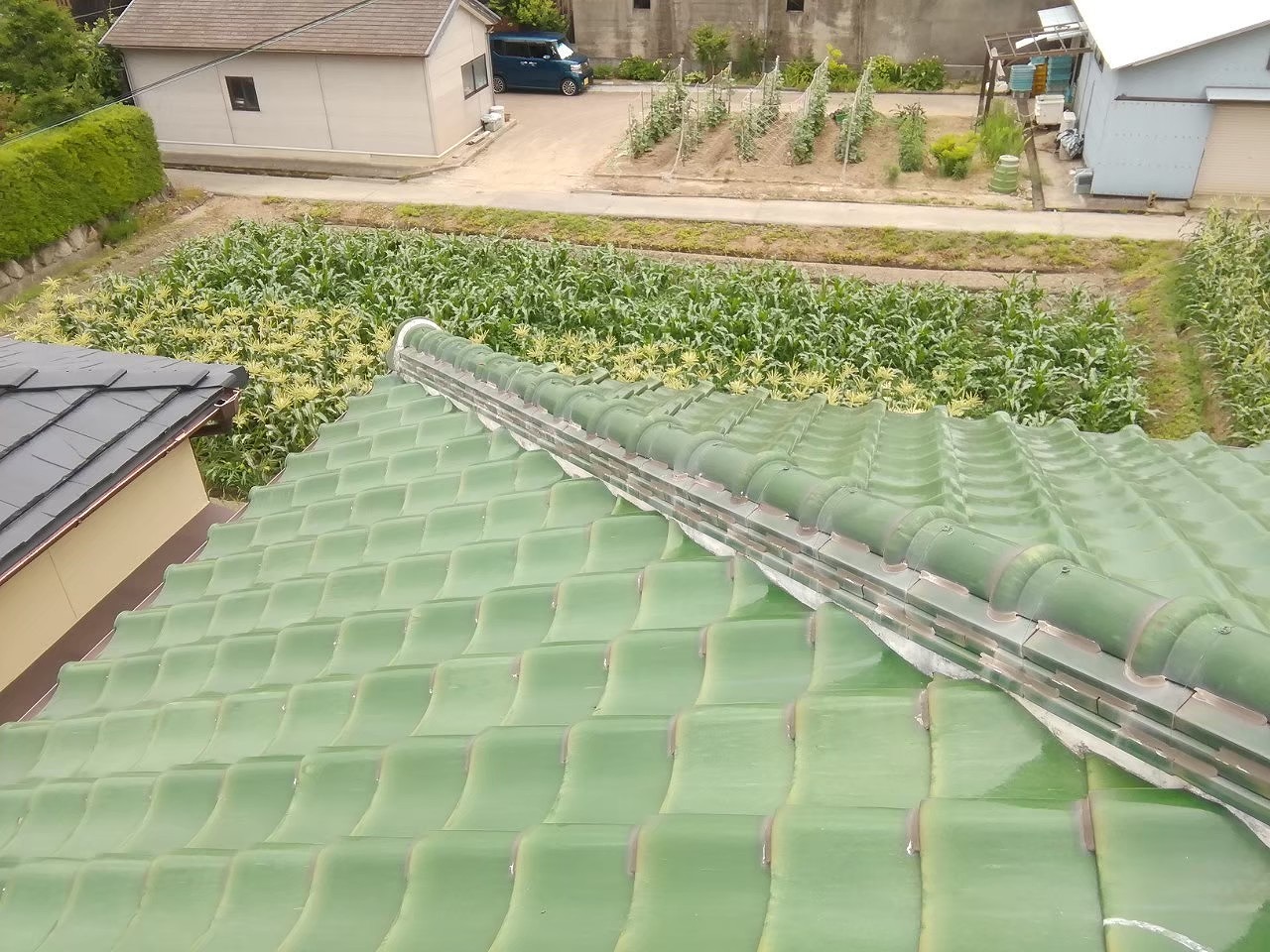 釉薬瓦　ウグイス色