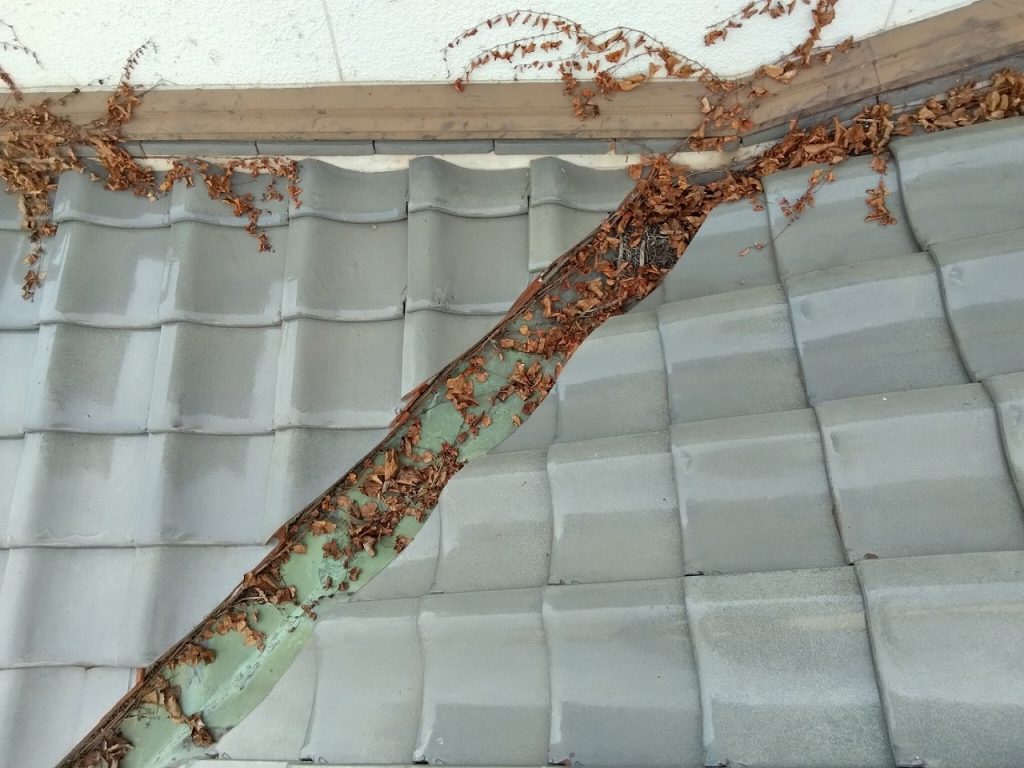 加古郡稲美町　瓦　屋根　草　浮き