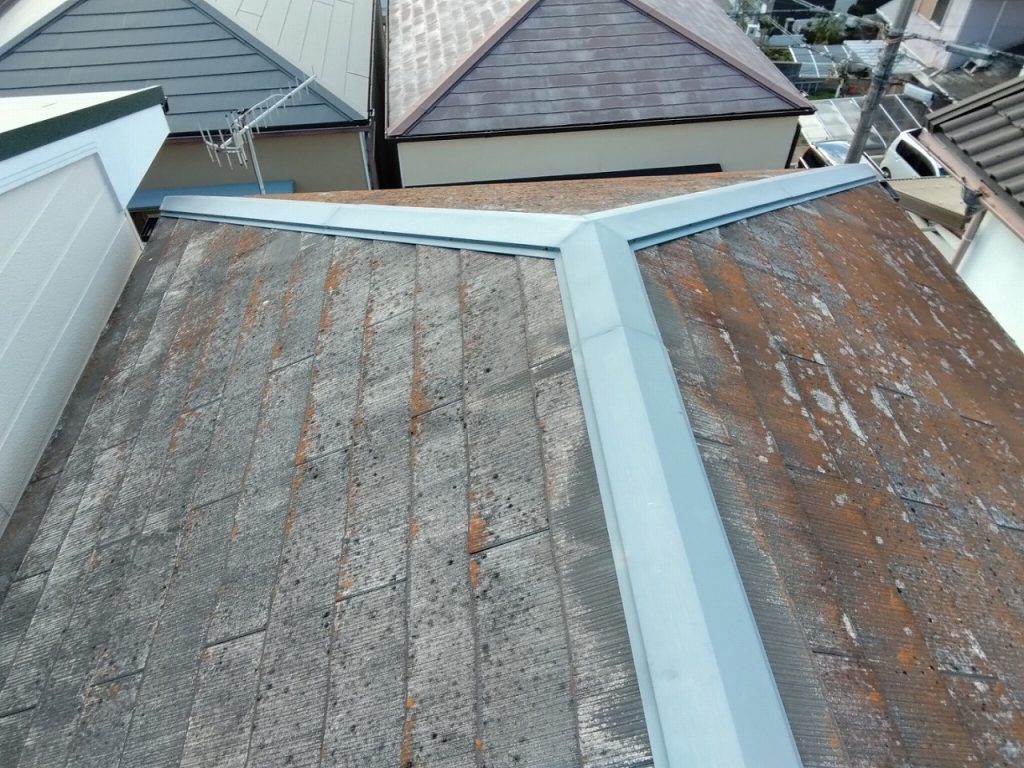 加古川市　カラーベスト　苔