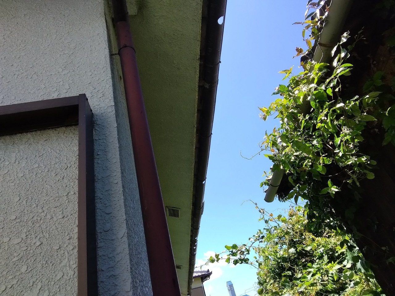 明石市　ひょうで下屋根　軒樋損傷　