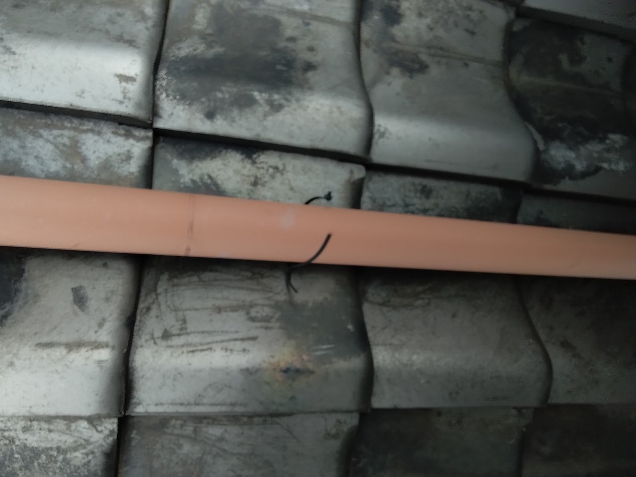 明石市　雹災害で這い樋インシュロック切断