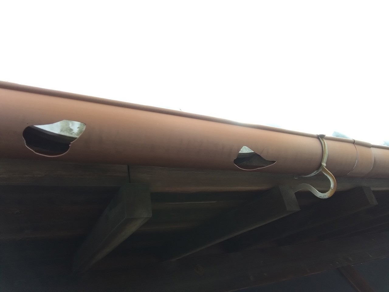 明石市　雹害　倉庫　樋貫通