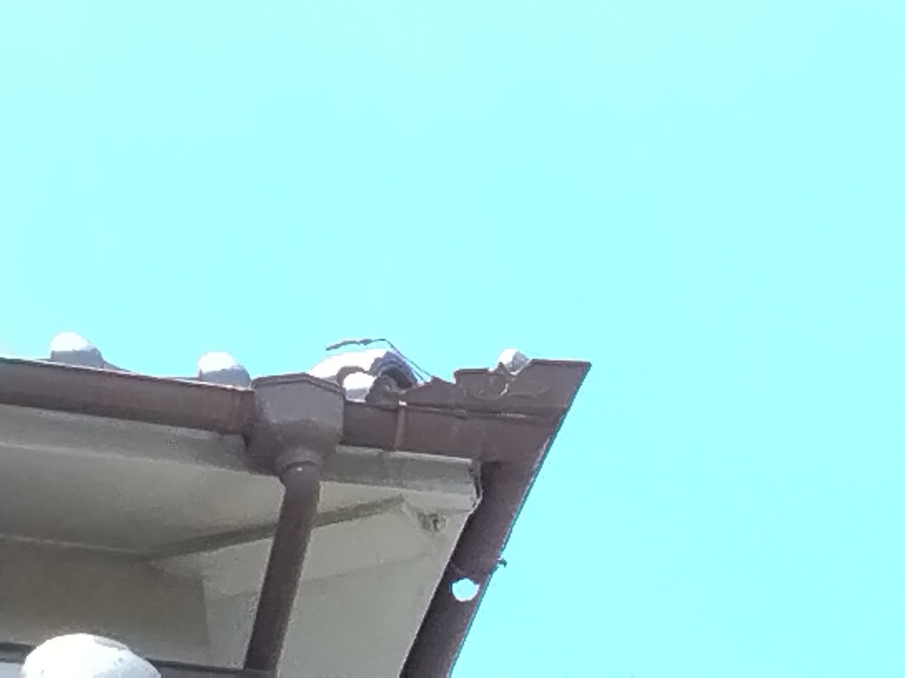 加古郡播磨町　軒樋(半丸)　上合やコーナー付近穴あき