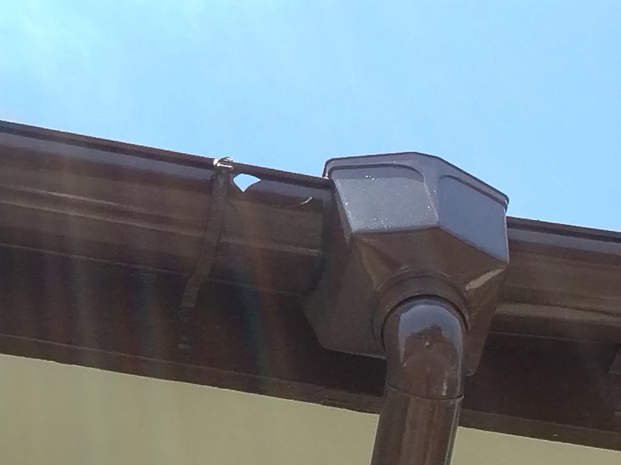 加古川市　集水器付近の半丸軒樋に穴