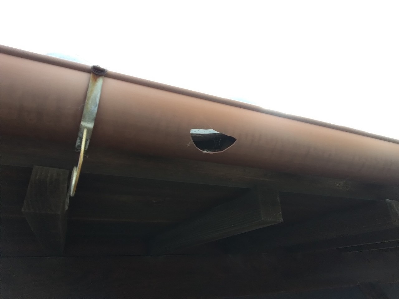 明石市　雹害　倉庫　樋(半丸)貫通