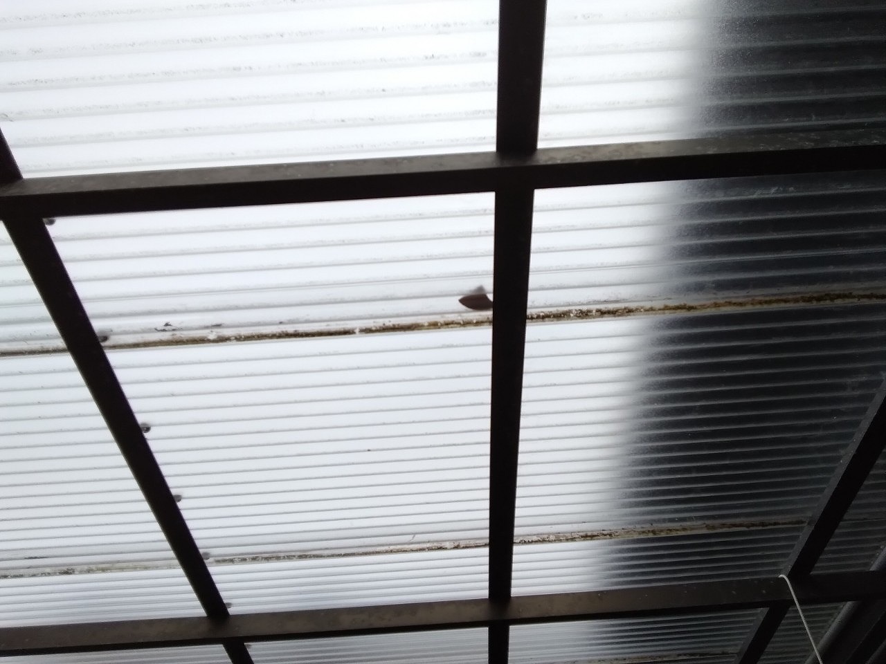 明石市　雹災害で波板上に漆喰欠け飛散