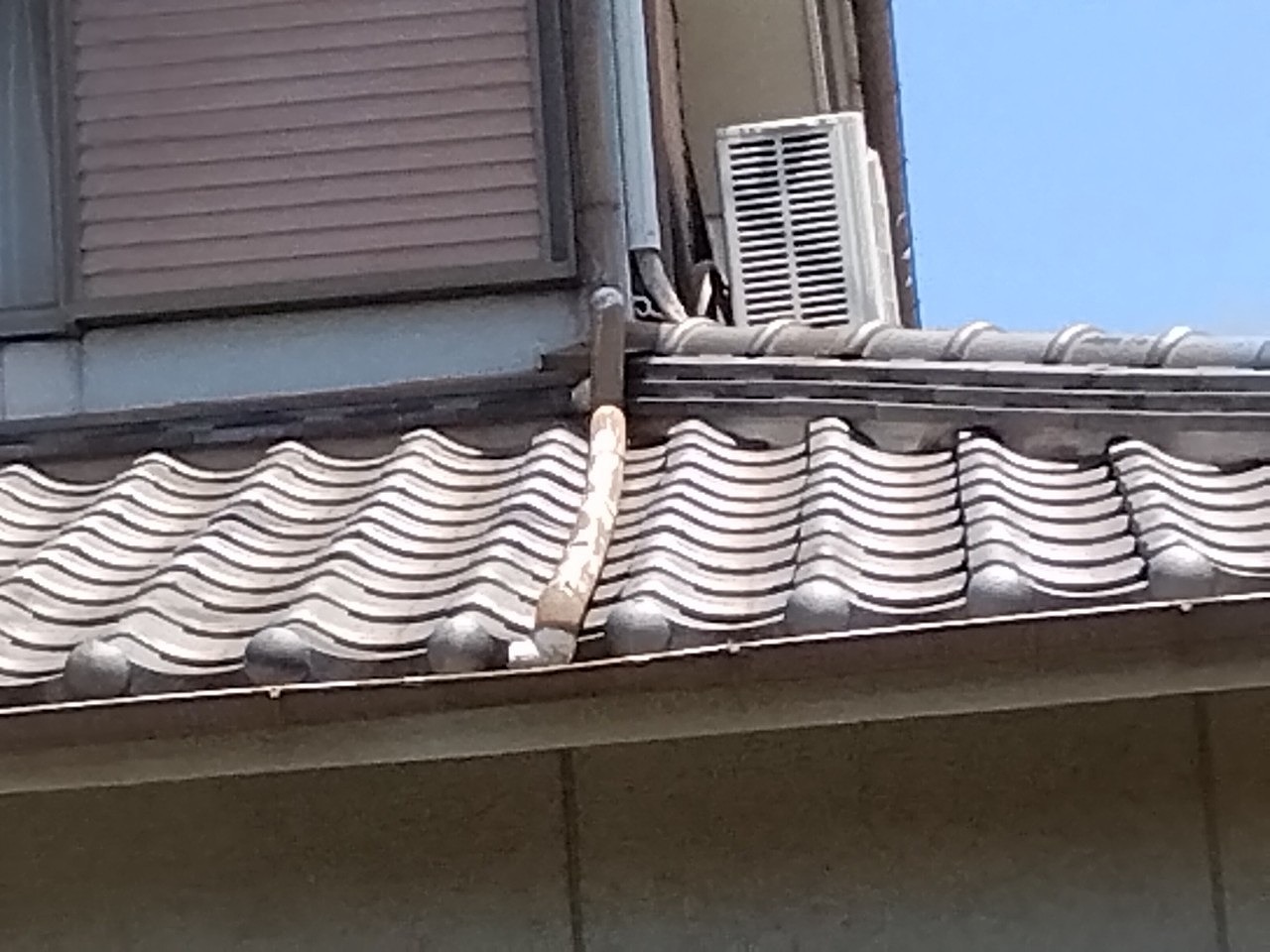 加古郡播磨町　60パイの這い樋　破損