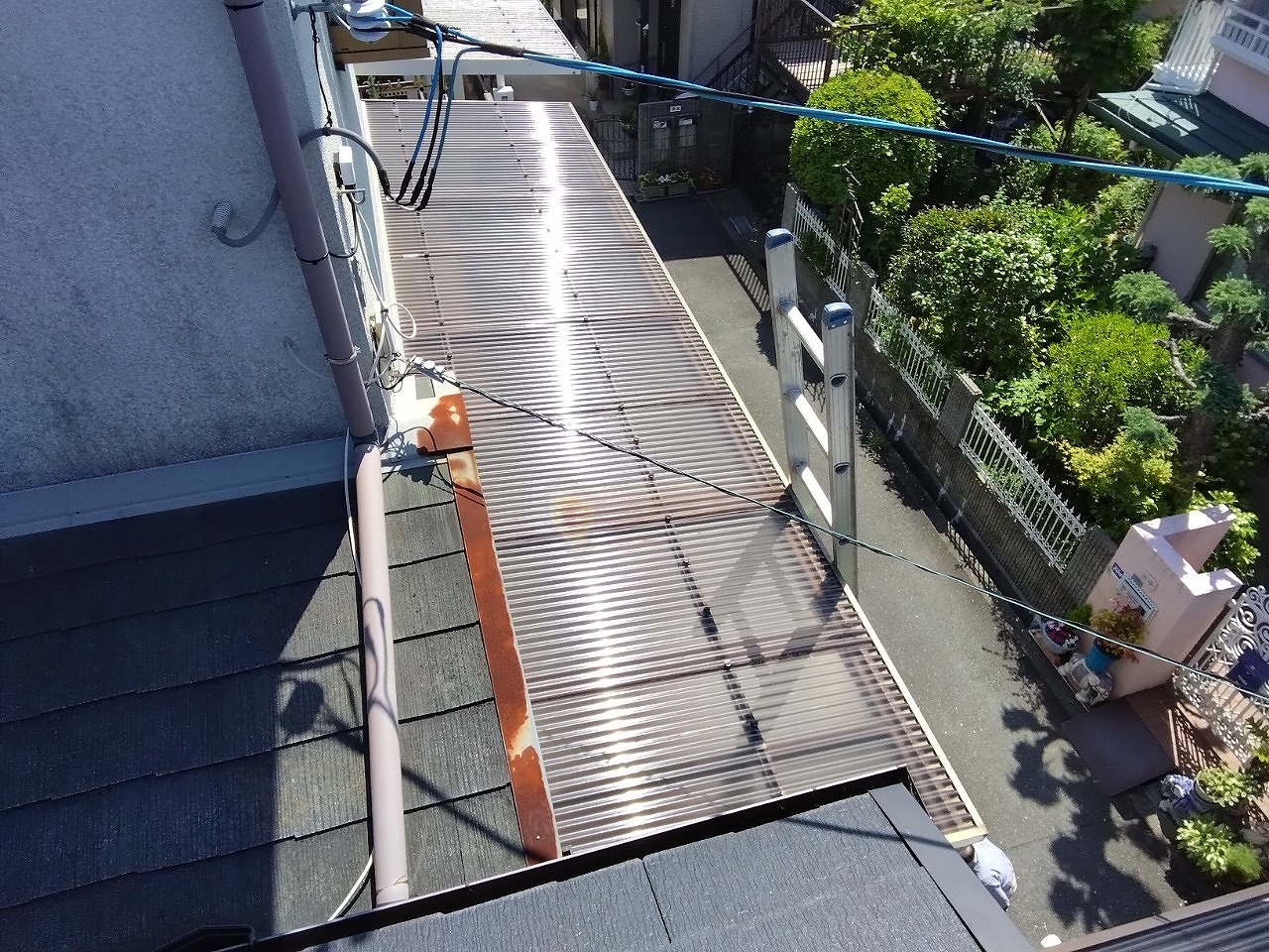 加古川市　はしごをかけて屋根上　様子