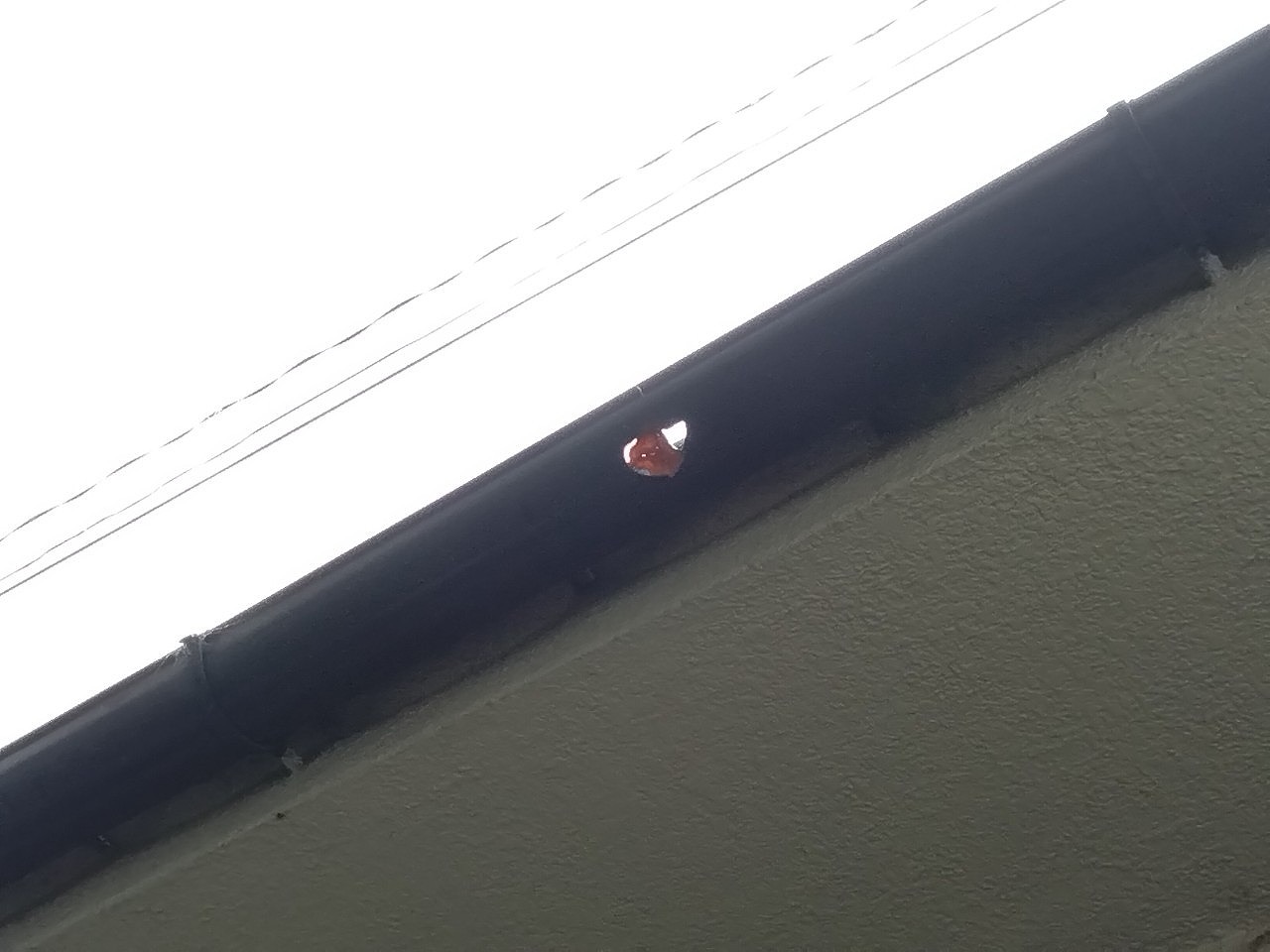 姫路市　トイが雹で貫通