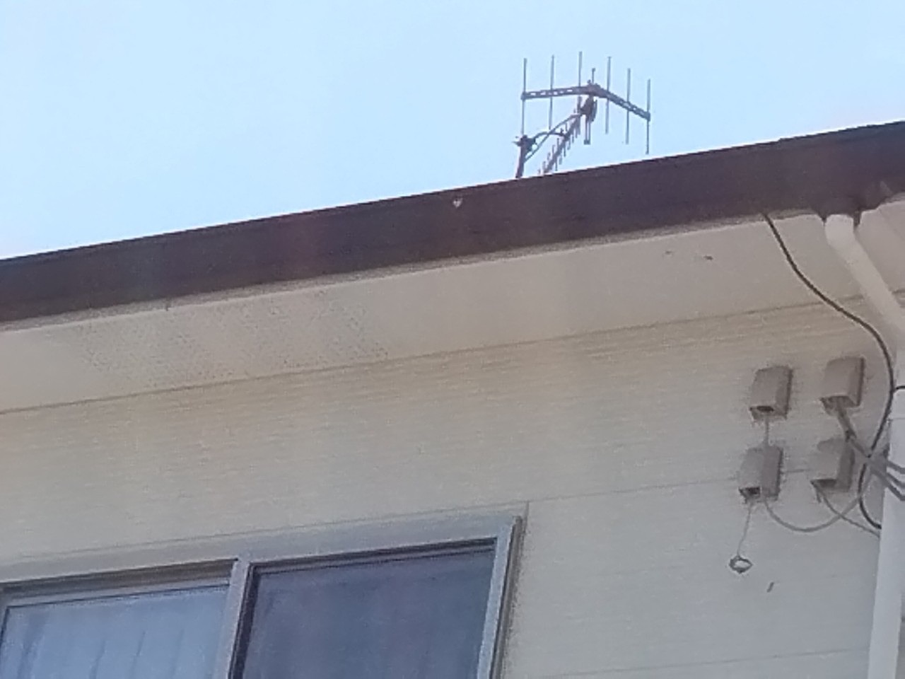 明石市　とい(角樋)にひび