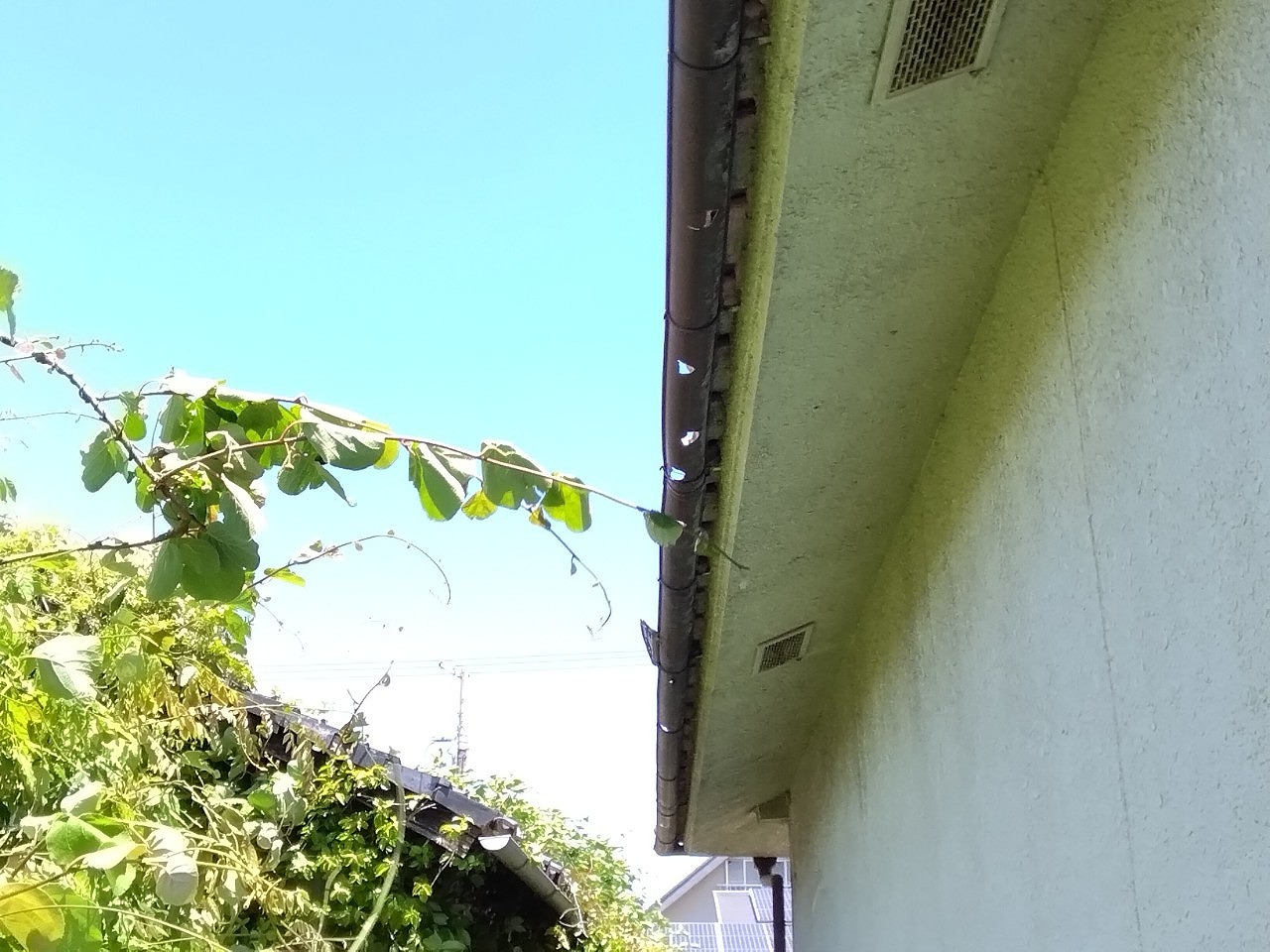 明石市　雹災害　下屋根　軒樋(半丸)貫通