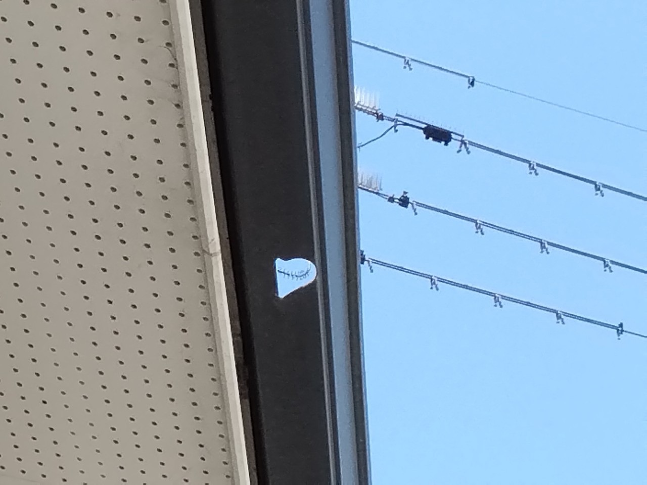 明石市　とい(角樋)に穴あき