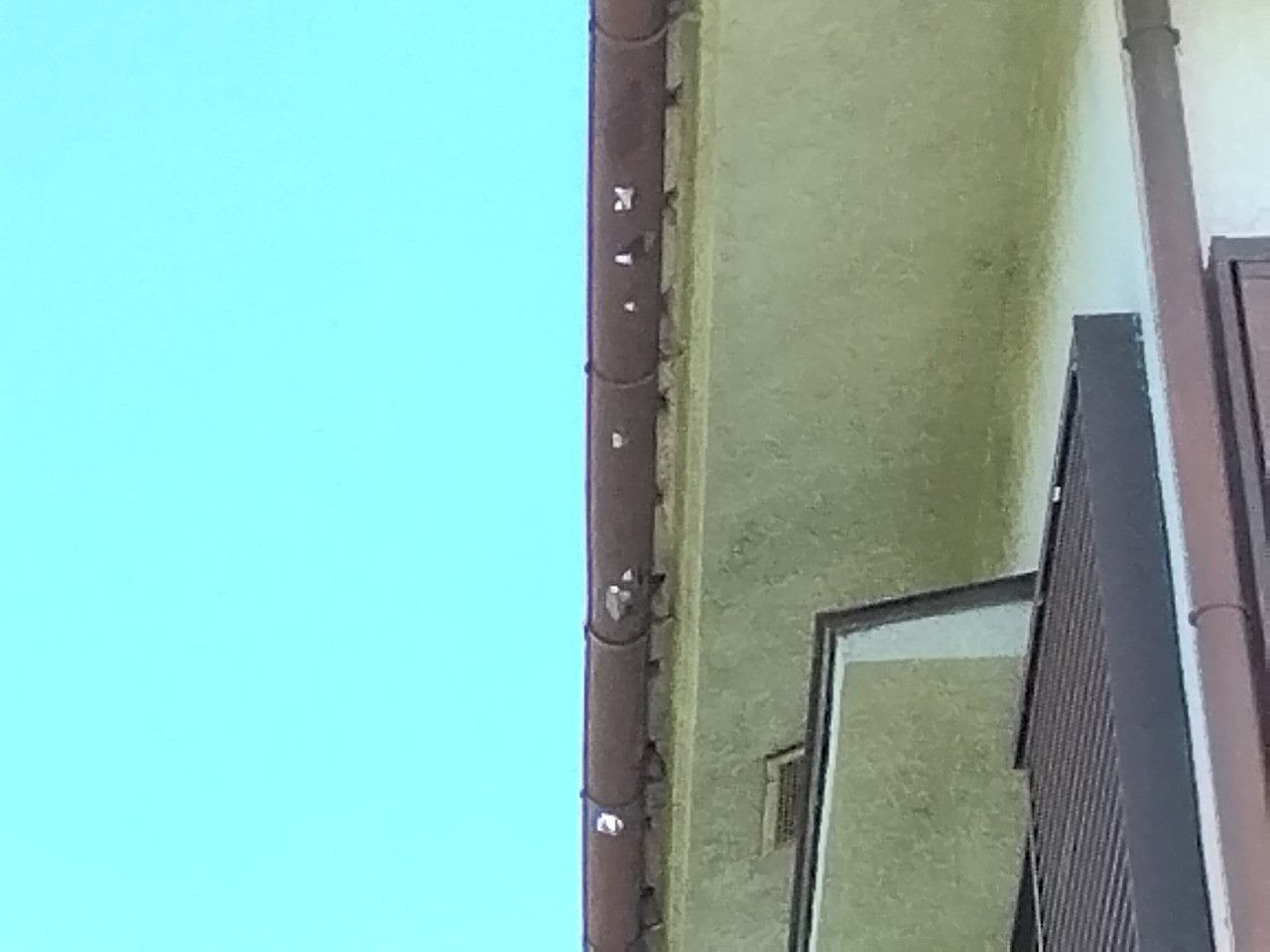 明石市　雹被害で軒樋(半丸)貫通