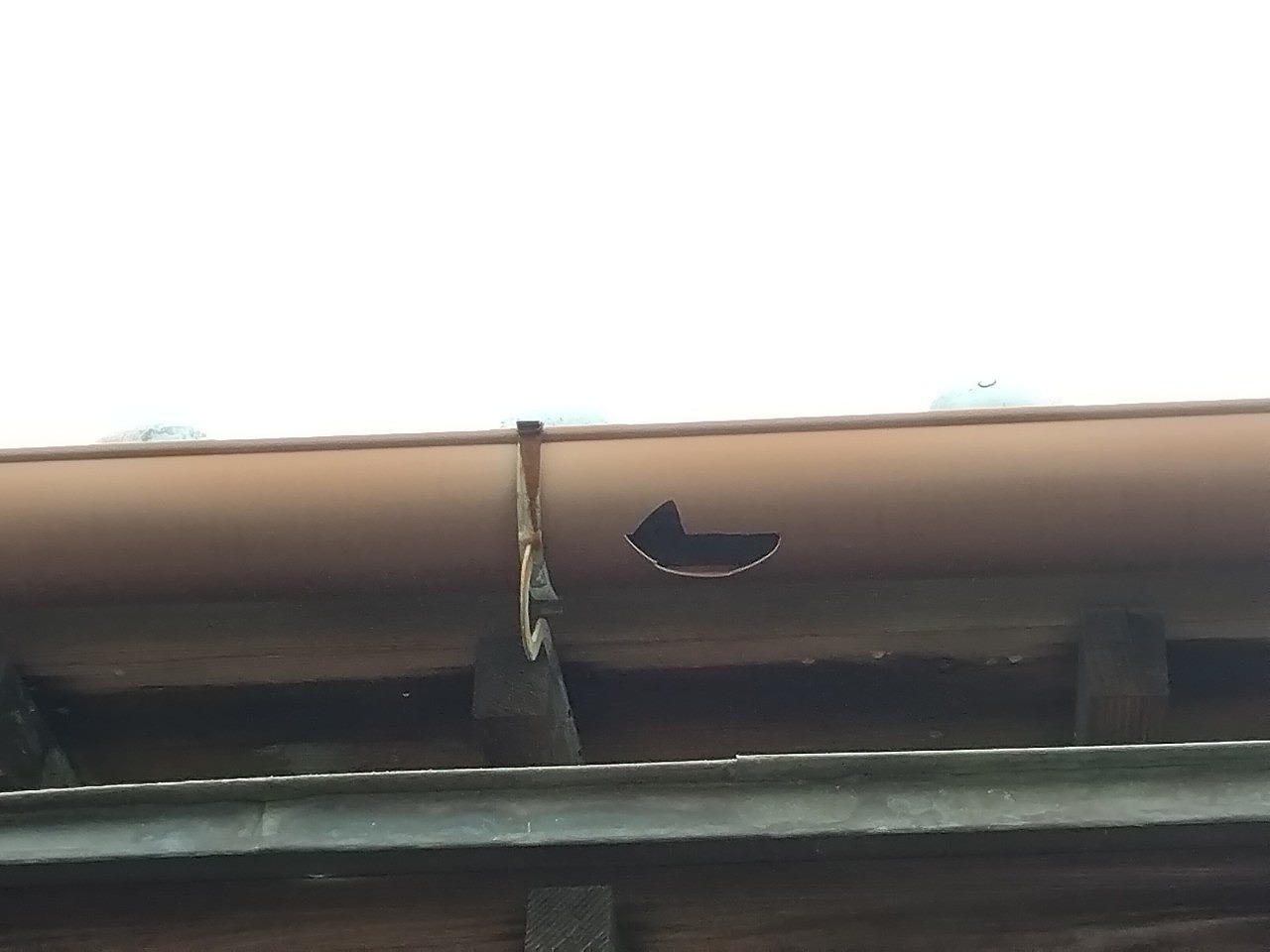 明石市　日本家屋　ひょう災害　とい半丸