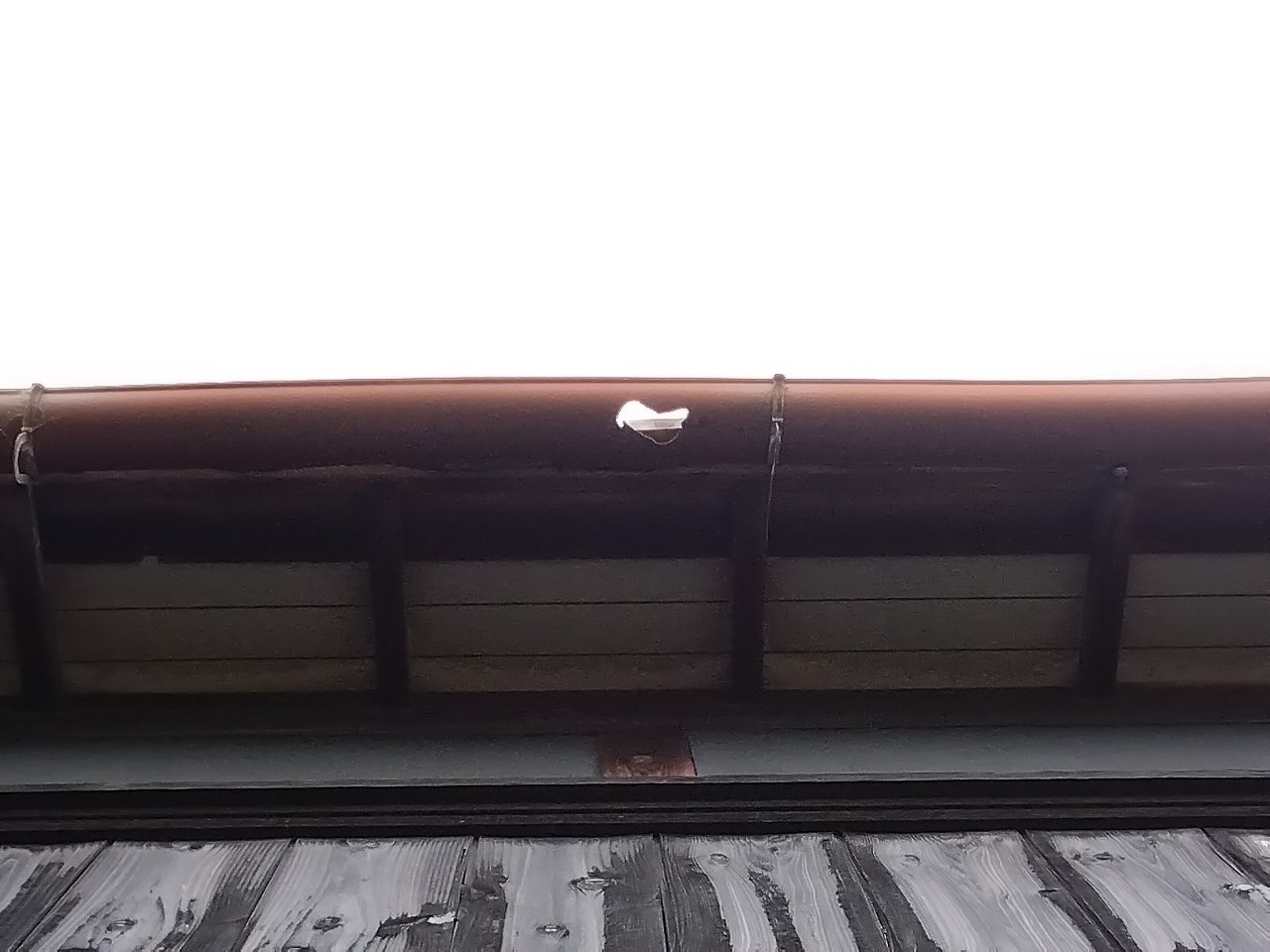 明石市　雹災害　倉庫　樋穴開き