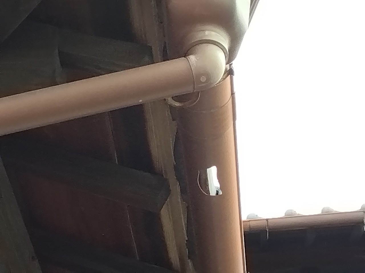 明石市　日本家屋　ひょう災害　集水器付近に穴開き