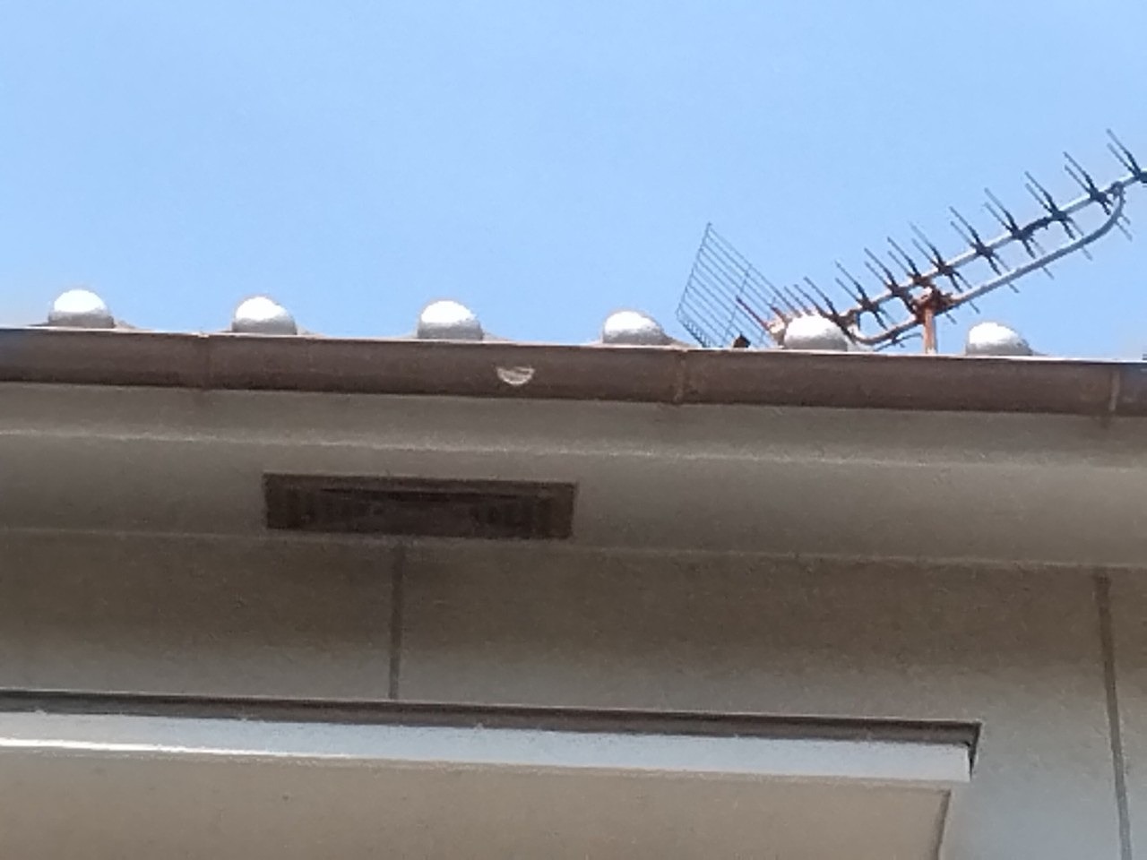 加古郡播磨町　軒樋(半丸)　貫通