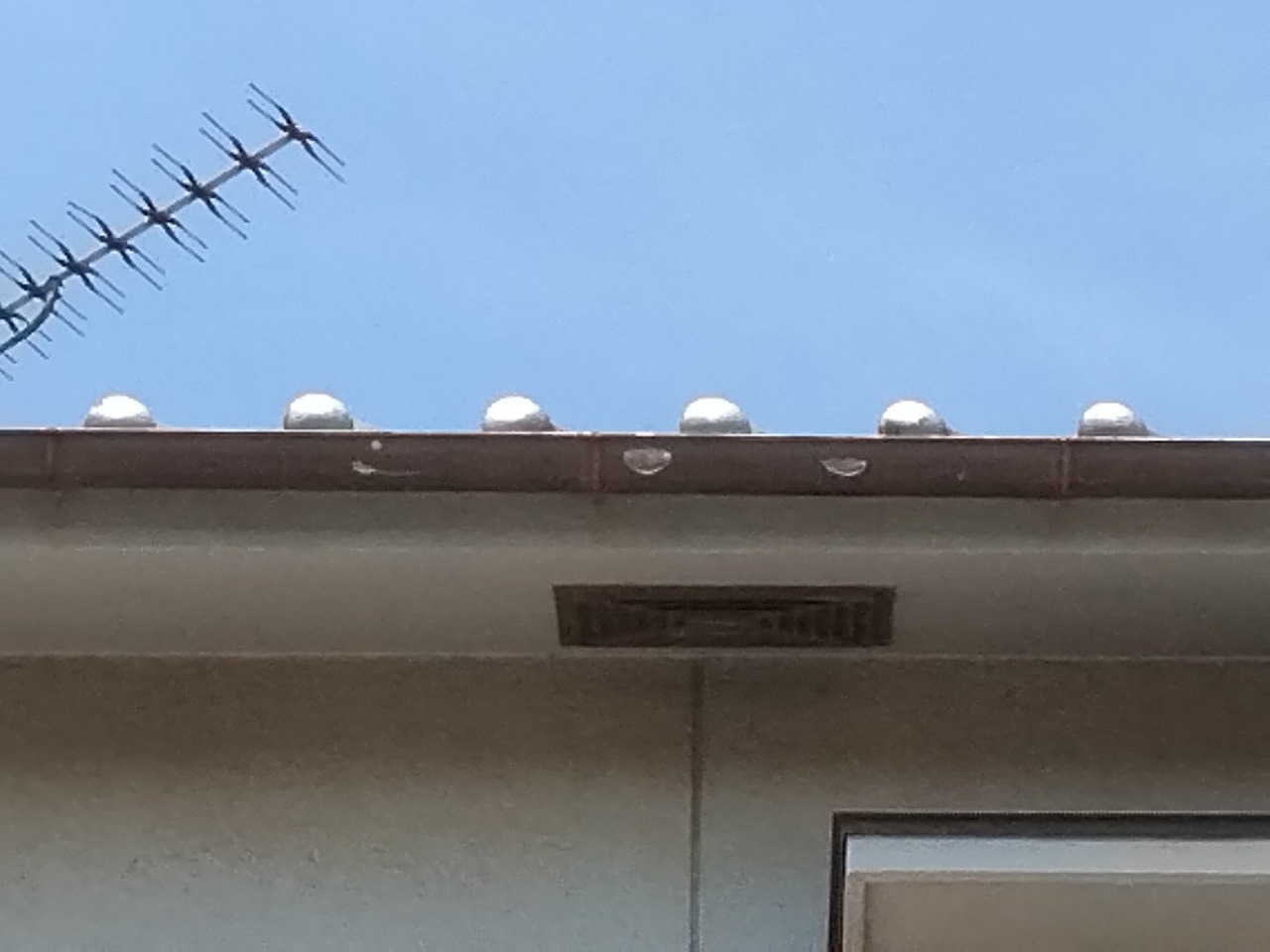 加古郡播磨町　軒樋(半丸)に穴